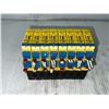 Image 2 : Lot of (8) Turck #IM1-22Ex-R Modules