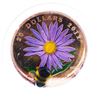 Image 1 : 2012 $20 Aster with Venetian Glass Bumblebee - Pure Silver Coin - Capsule Impaired, Bee needs glue.T