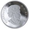 Image 5 : 2019 $100 Canadian Maples - Pure Silver Coin - SOLD OUT