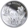 Image 9 : 2019 $100 Canadian Maples - Pure Silver Coin - SOLD OUT