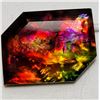 Image 2 : NATURAL FANCY CUT AMMOLITE GEM-