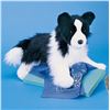 Image 1 : NEW DOUGLAS THE CUDDLE TOY REALISTIC BORDER COLLIE