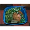 Image 1 : CONTAINER FULL OF ASSORTED FAUX GREENERY