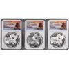 Image 1 : Set of (3) 2019 (G/S/Y) China 10 Yuan Silver Panda Coins NGC MS70