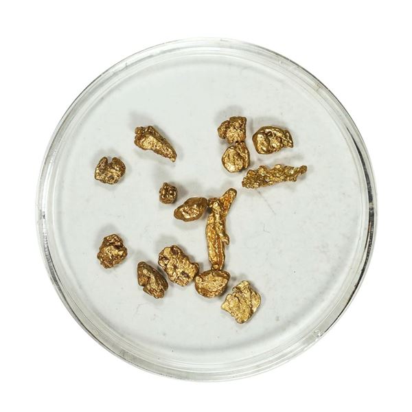 Gold Nuggets 2.47 Grams Total Weight