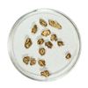 Gold Nuggets 2.39 Grams Total Weight