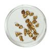 Image 1 : Gold Nuggets 3.10 Grams Total Weight