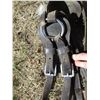 Image 5 : Horse Tack (Light Harness)