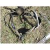 Image 2 : (2) Decorative Horse Bridles
