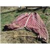 Image 1 : Horse Blanket