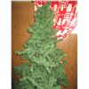 Image 2 : Artifical Christmas Tree (6Ft)