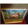 Image 1 : Framed Horse Painting Signed M.Graham (33x27)