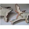 Image 6 : (3) Ceramic Duck Wall Hangers (Beswick England)