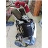 Image 1 : Golf bag, with clubs & golf bag carrier