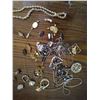 Image 2 : Lot of assorted costume jewelry