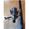 Image 1 : 11'6" (super long) - telescopic (shrinks to 2ft) Okuma 3608 Ricomarina rod, with Ricomarina Golden 7
