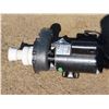 Image 2 : Hot tub Insulated wet end pump/motor - Model: PF-45-2N22C + Dayton Electric Motor