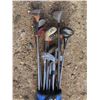 Image 2 : Golf clubs and carry case