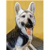 Image 2 : German shephard ceramic. 12 in tall, 8 in wide. No chips or scratches. Well looked after.