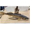 Image 3 : Large mounted Walleye, on driftwood - 30"W x 20.5"H