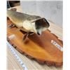 Image 4 : Huge mounted Northern Pike, on wood - 41" Total w & 32" fish W