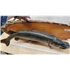 Image 5 : Huge mounted Northern Pike, on wood - 41" Total w & 32" fish W