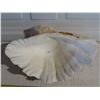 Image 3 : Beautiful Large Sea Shell