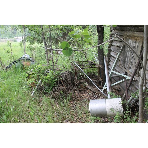 Scrap, South of Cabin