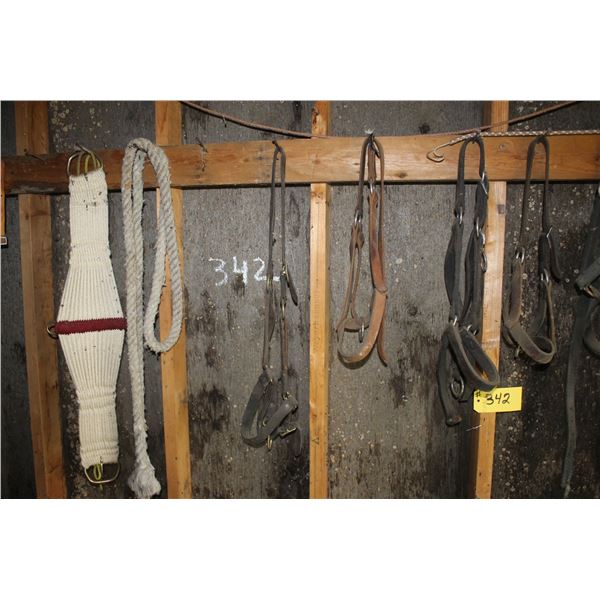 Cinch, halters and variety of halters