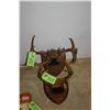 Image 1 : 2- Sets of antlers