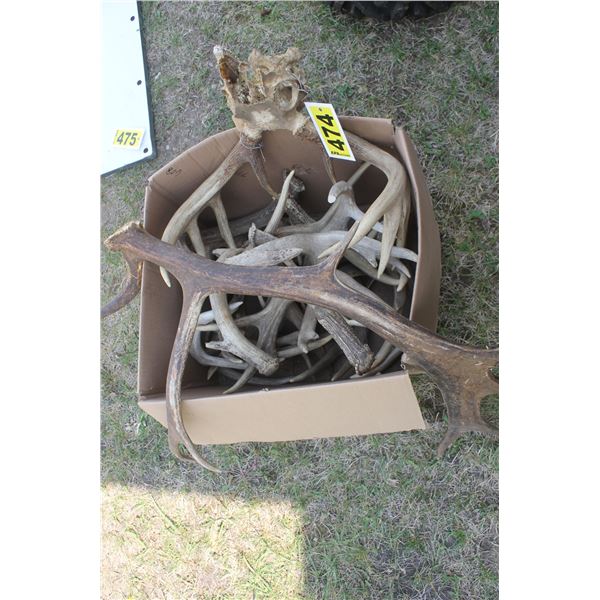 Box of tagged antlers