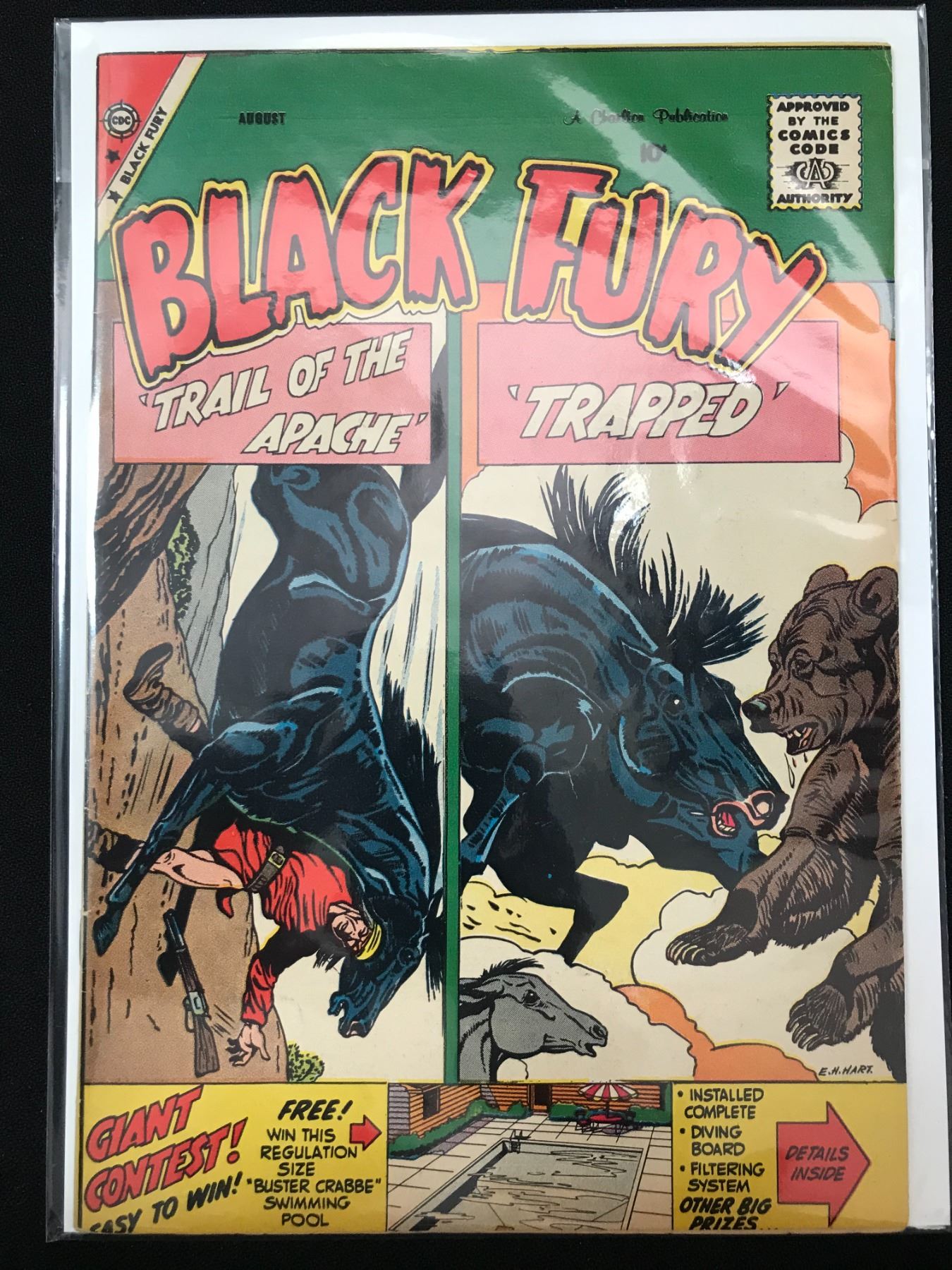 BLACK FURY 10 CENT COMIC (CDC COMICS)