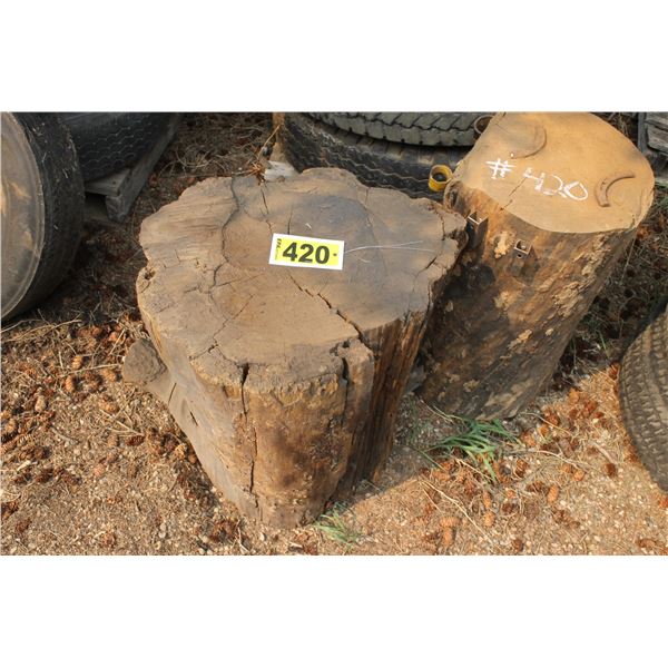 2- Wood Stumps
