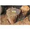Image 1 : 2- Wood Stumps