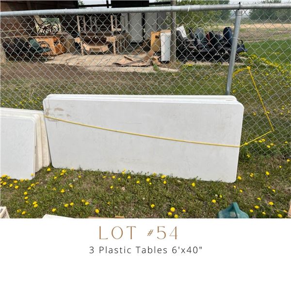 Lot 54