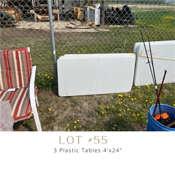 Lot 55