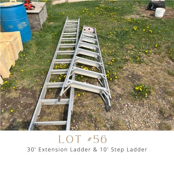 Lot 56