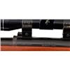 Image 7 : Remington M788 Bolt Action Rifle .22-250