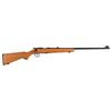 Image 1 : Century Arms Chinese Bolt Action Trainer .22 Rifle
