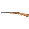 Image 2 : Century Arms Chinese Bolt Action Trainer .22 Rifle