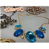 Image 7 : Costume Jewelry