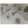 Image 6 : Costume Brooches