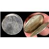 Image 1 : United States 1874 Trade Dollar, Hinged Shell