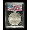 Image 1 : United States $1 Silver Eagle 2001, Ground Zero Recovery
