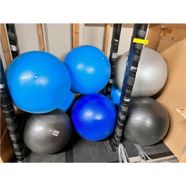 Group of 8 exercise balls