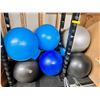 Image 1 : Group of 8 exercise balls