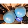 Image 2 : Group of 8 exercise balls