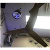 Image 4 : Group of 2 decorative ceiling fans w/ 1 decorative ceiling light (bidder responsible for removal)