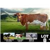Image 1 : JH RURAL CREAM