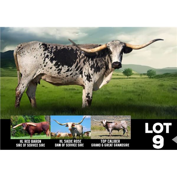 BIG SKY PAIUTE 60